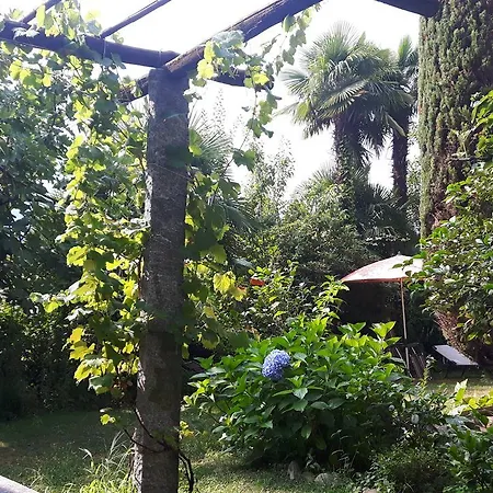 Garden Guest house Ascona